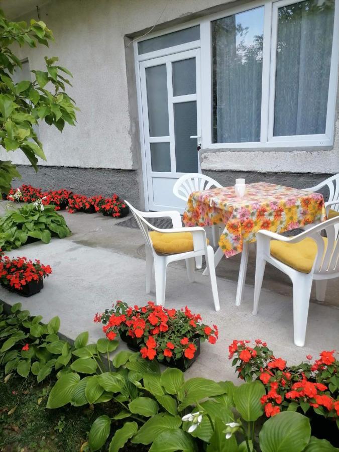 Pavicevic Sokobanja Exterior foto