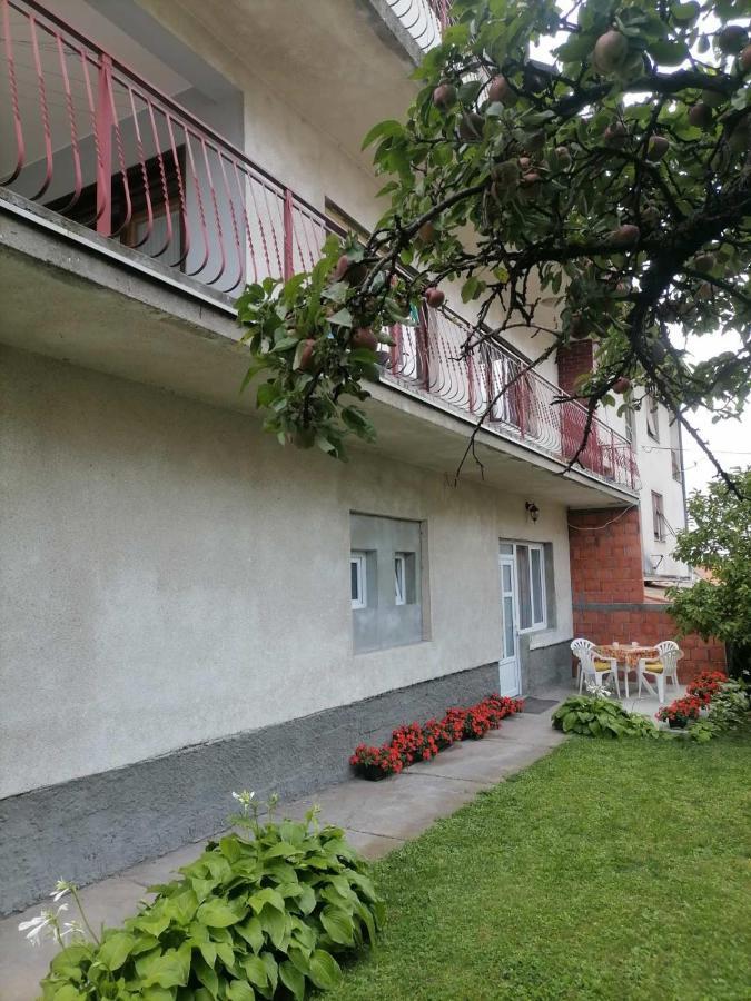 Pavicevic Sokobanja Exterior foto